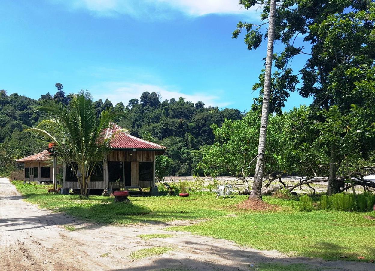 Revive Lampung Krui King Resort المظهر الخارجي الصورة