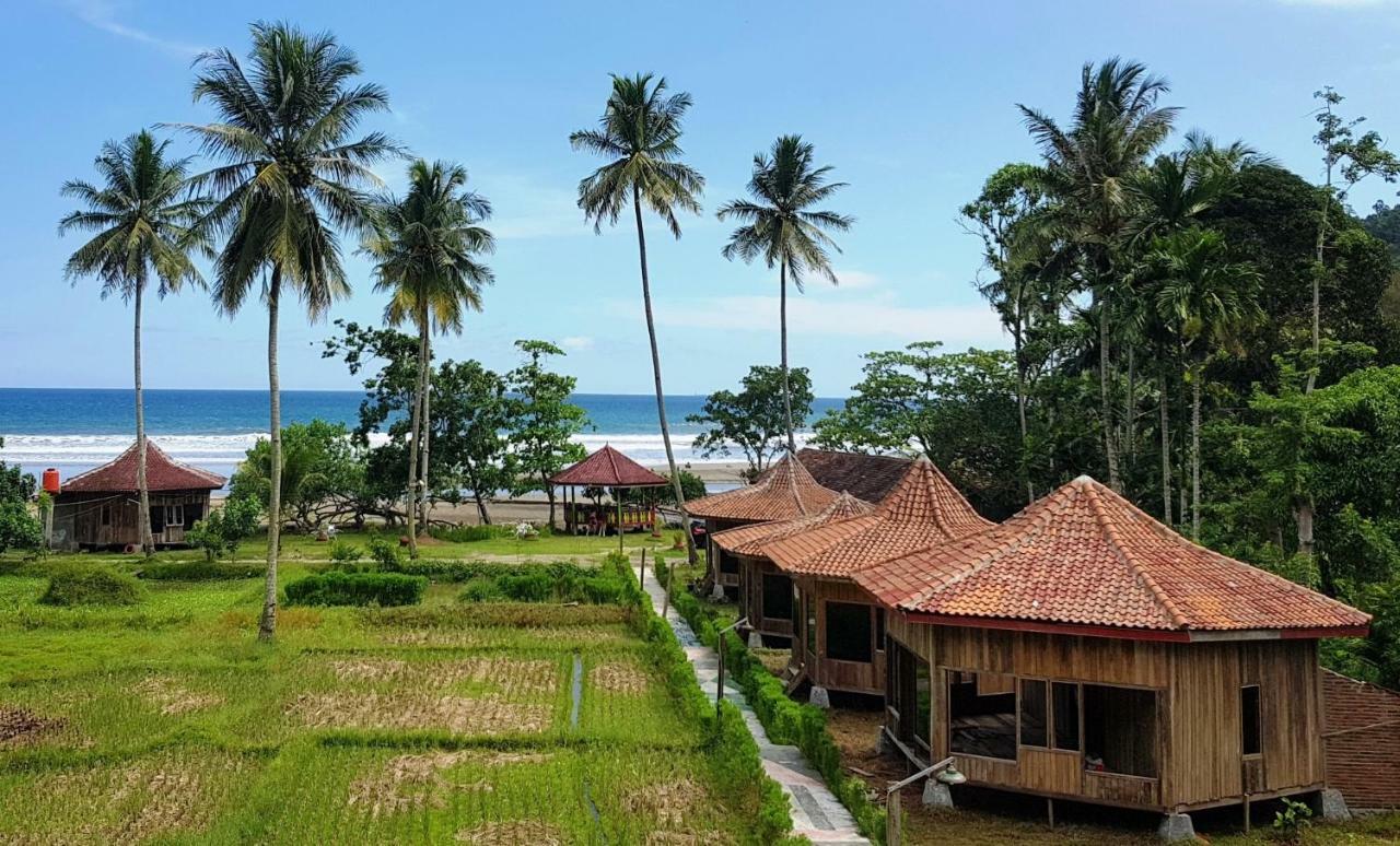 Revive Lampung Krui King Resort المظهر الخارجي الصورة